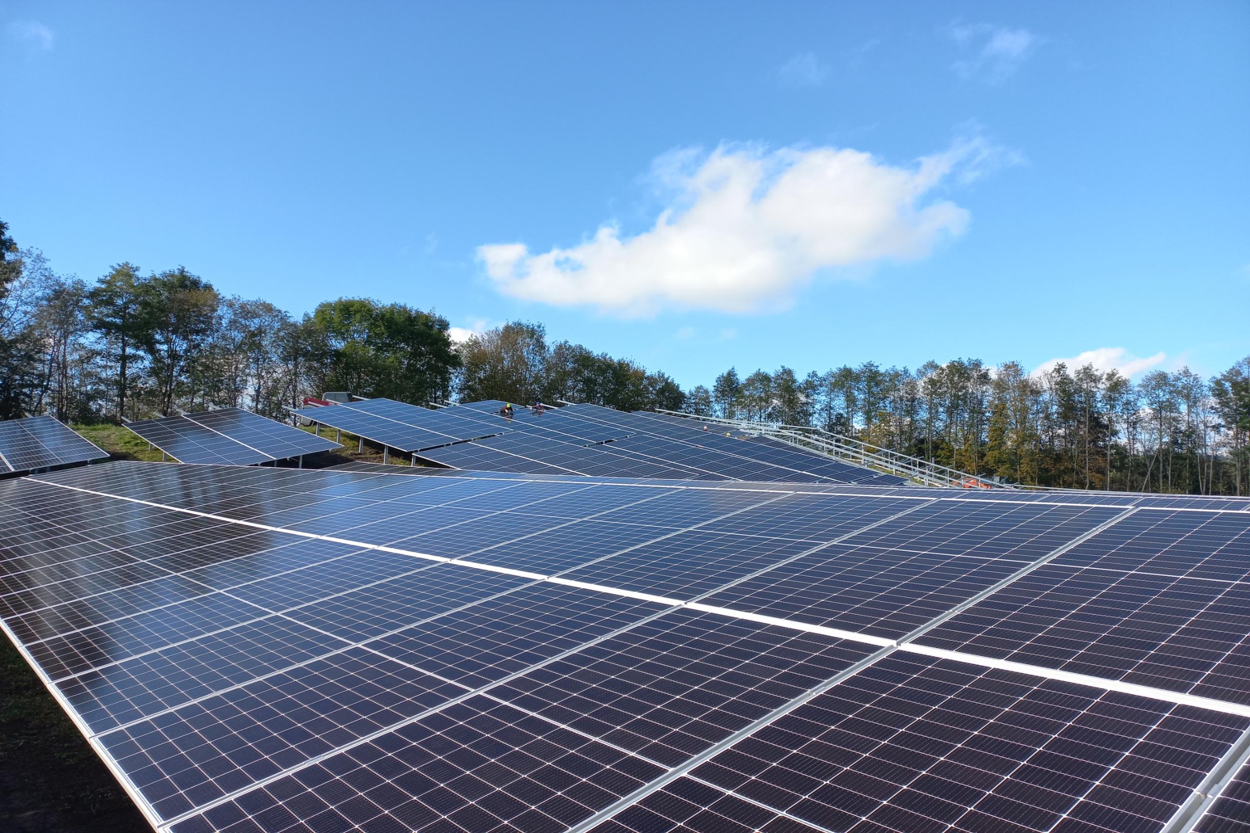 20231025_135658_resized